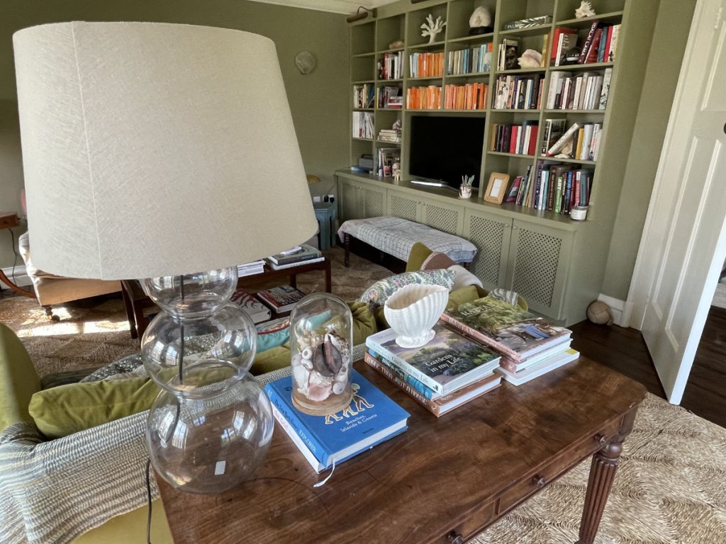 Drawing Room, Shelves, Bookshelves, Green, Living Room