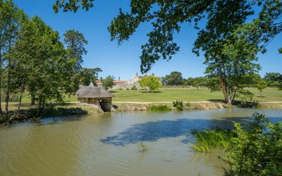 The Lake & Grounds